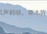 风声鹤唳，草木皆兵