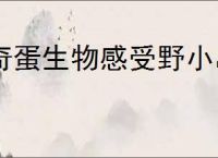 奇蛋生物感受野小岛玩法攻略,奇蛋生物感受野小岛详细介绍