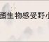 奇蛋生物感受野小岛玩法攻略,奇蛋生物感受野小岛详细介绍