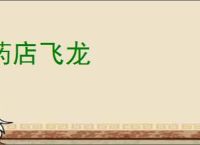 药店飞龙