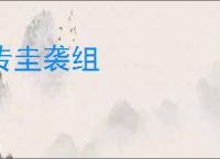 传圭袭组
