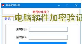 电脑软件加密验证解决方案：全方位保护您的数字资产