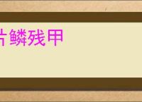 片鳞残甲