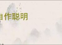 自作聪明