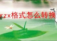 orzx格式怎么转换