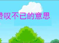 赞叹不已的意思