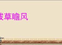 拨草瞻风