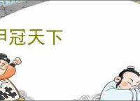 甲冠天下