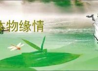 体物缘情