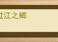 过江之鲫