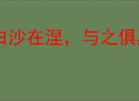 白沙在涅，与之俱黑