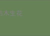 枯木生花