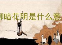 柳暗花明是什么意思