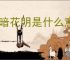 柳暗花明是什么意思