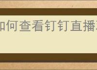 如何查看钉钉直播观看人员