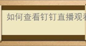 如何查看钉钉直播观看人员