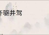 齐驱并驾