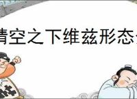 晴空之下维兹形态介绍说明,晴空之下维兹养成装备推荐