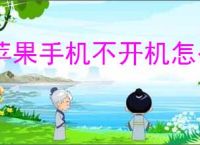 苹果手机不开机怎么办