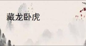 藏龙卧虎