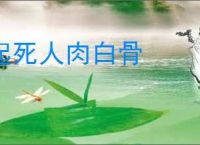 起死人肉白骨