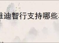 雅迪智行支持哪些车型