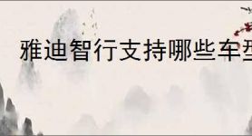 雅迪智行支持哪些车型
