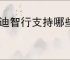 雅迪智行支持哪些车型