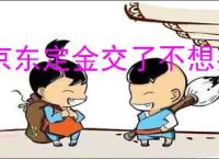 京东定金交了不想买了怎么办？如何成功申请退款？