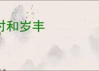 时和岁丰