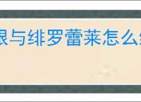 银与绯罗蕾莱怎么组队,银与绯罗蕾莱队伍搭配攻略