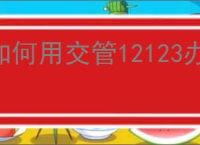 如何用交管12123办理审车