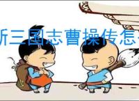 新三国志曹操传怎么过野猪毁田,新三国志曹操传野猪毁田关卡流程