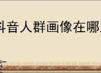抖音人群画像在哪里看？精准定位你的目标受众