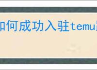 如何成功入驻temu跨境电商平台？