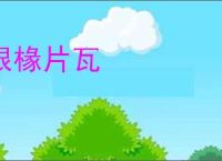 根椽片瓦