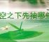 晴空之下先抽哪些角色好,晴空之下卡池优先抽取顺序