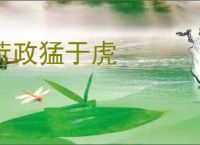 苛政猛于虎