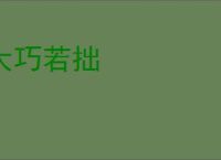 大巧若拙
