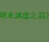 《明末渊虚之羽》xgp无法加载所有选项解决方式