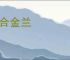 契合金兰
