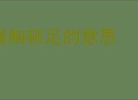 捶胸顿足的意思
