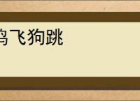 鸡飞狗跳