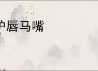 驴唇马嘴