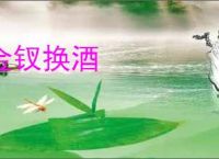 金钗换酒