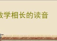 教学相长的读音