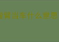 螳臂当车什么意思