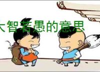 大智若愚的意思