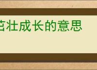 茁壮成长的意思