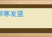 胆寒发竖